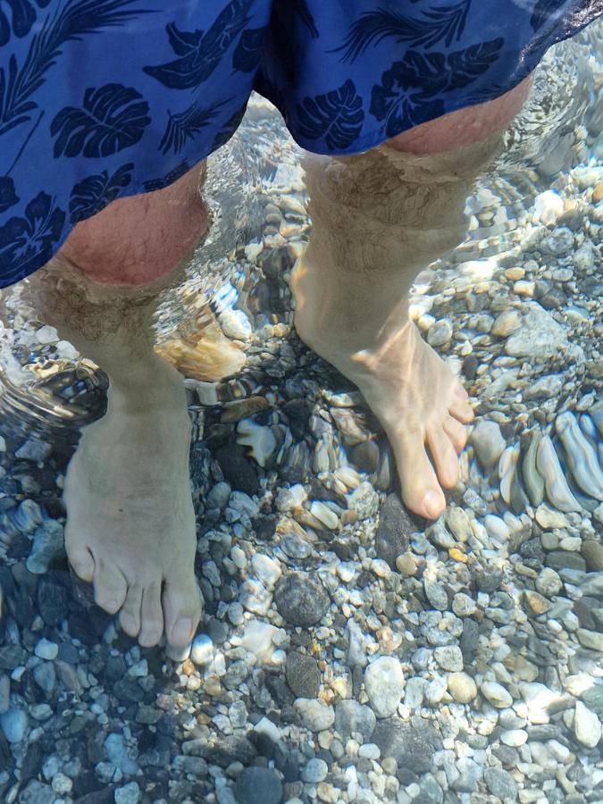 Marina di San LorenzoLa Terrazza Di Elisaアパートメント エクステリア 写真